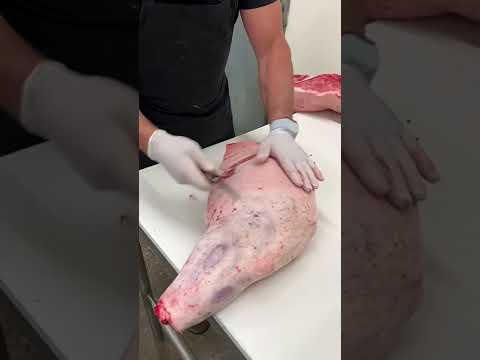Cutting a pork shoulder! 🔪🐷 #shorts #bbq #butcher