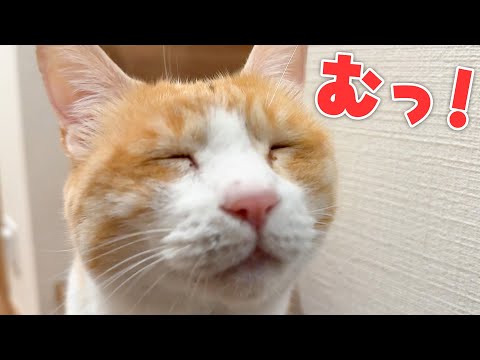 旅行から帰ってきたら見たことのない表情でロビンが出迎えてくれましたwwww