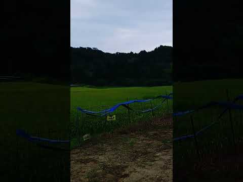 （心霊コラボ）関東遠征2代目マーキーさんとコラボ 番外編　 #文化財 #廃墟 #心霊スポット #怪現象