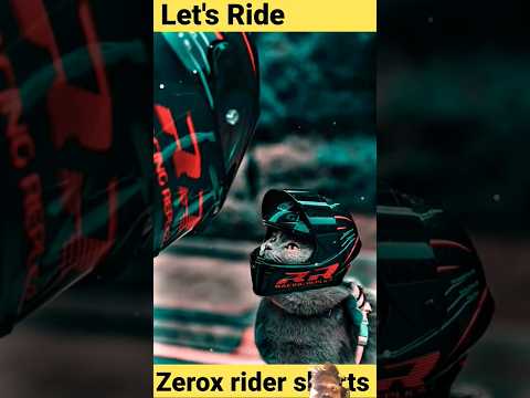 Let's go 🏍️🔥🌹 #race #racelover #racing #bike #ktmlover #bikelover #shortsvideo #motorcycle
