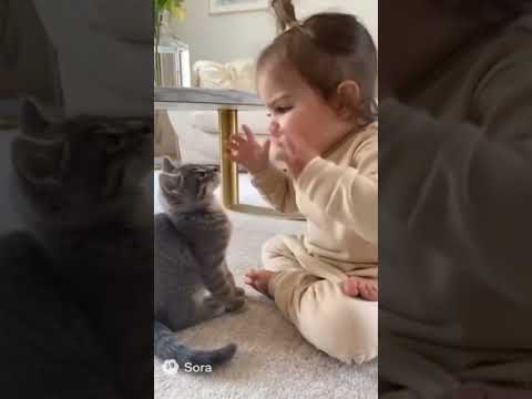des bébés mignons qui parlent aux chats haha ​​les deux sont tellement drôles … #catsoftiktok