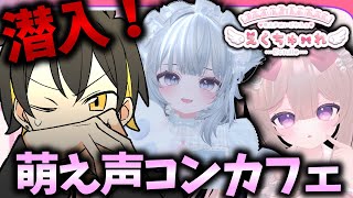 🔴『VRchat』に萌え声達が働くコンカフェがあるらしい...。【ぺぃたんこっ！】