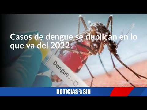 Casos de dengue se duplican en lo que va del 2022