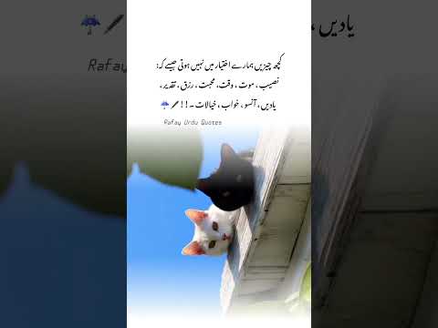 Quotes on life lessons inspirational - #urdupoetry #deepwords #viral