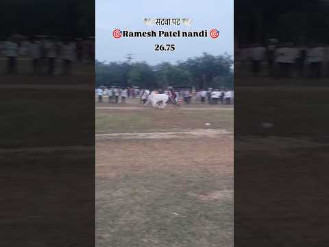 रमेश पटेल नंदी (सटवा पट).२६.७५ सेकंद. #bailgada #cow #bullfarm #farming #bailgadapremi