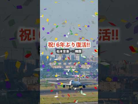 信州まつもと空港、6年ぶりの国際チャーター便運航ついに決定!移動時間ほぼゼロで韓国まで行ける旅が魅力的すぎてマジでヤバすぎる!【エアロK航空,松本青年会議】