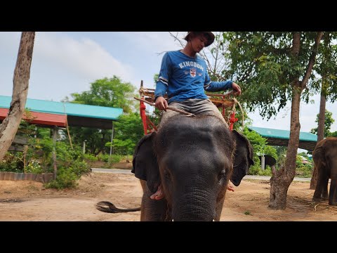 มิ่งกู๊ดบอย🐘😎แท็กซี่น่ารักๆ