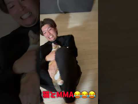 猫とガチMMAをする男を発見😂😂😂 #shorts #ufc  #funny