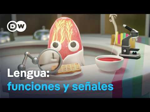 Qué dice tu lengua: gustos, digestión y señales del cuerpo