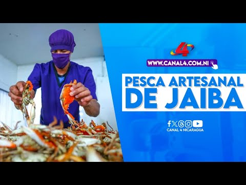 Hombres y mujeres del Caribe nicaragüense integrados a la pesca artesanal de jaiba