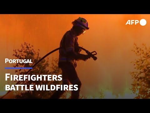Portugal battles to contain wildfires in Arouca | AFP