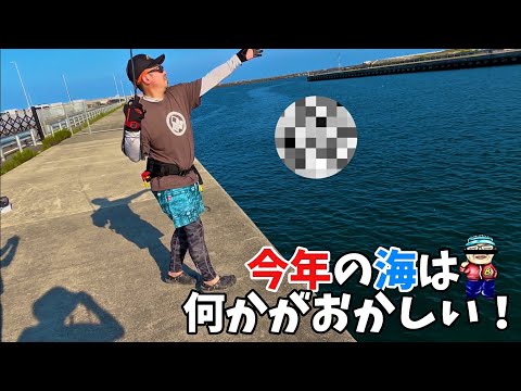 西の海しか釣れない魚が閖上港にいたっ！！！【爆釣】【宮城釣り】