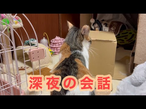 深夜の會話 678