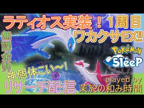 【#ポケスリ】ラティオス実装！まずはお通し個体を狙って！【#ポケモンスリープ】ワカクサEX+８５％Plus+所持。無課金な中堅勢？によるPokémon Sleepのんびり実況♪