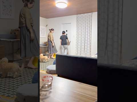 夜中に中学生娘と母がコンビニに行った末路・・・😂😂😂#shorts