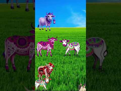 kay app meri mame ho #subscribe #shorts #youtubeshorts #shortsfeed #viralshorts #funny vfx