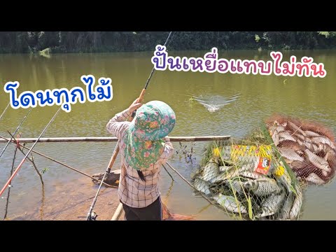 ตกปลาหน้าดินกินเร็วเกินไปมั้ย