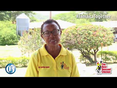 #JamaicaTogether: We must support our neighbours - Ivy Thomas