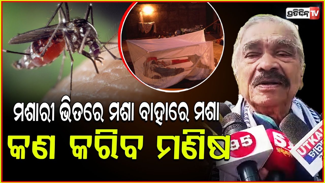 ଏ ମଶା ଗୁଡ଼ାକ କାମୁଡିବେ ବୋଲି ଖାଲି ହାଁ ହାଁ ହଉଛନ୍ତି!Sur Routray's reaction to the increase in mosquitoes