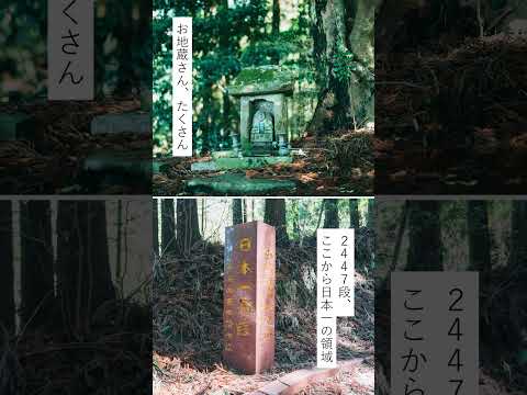 3,333段の「日本一の石段(釋迦院御坂遊歩道)」に挑戰!【美里町】