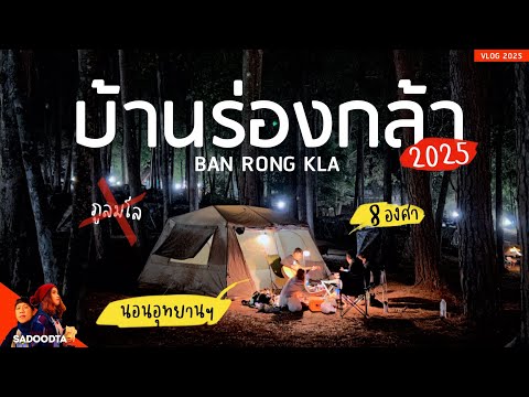เที่ยวบ้านร่องกล้า2025แคมป์ป