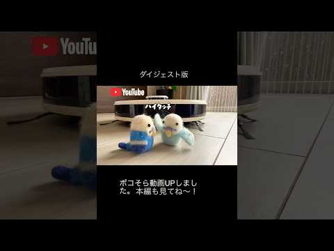 【ダイジェスト版】ポコそら軍、はっさくにリベンジだの巻