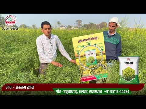 लंबी फलियाँ, मोटा दाना – यही है किसान का असली खजाना !