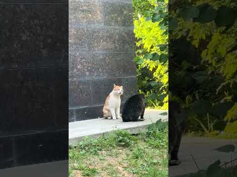 I think she is scolding him 😀