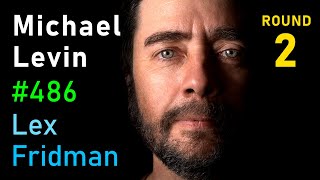 Thumbnail for the video "Michael Levin: Hidden Reality of Alien Intelligence &amp; Biological Life | Lex Fridman Podcast #486" from Lex Fridman