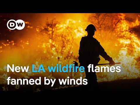 Firefighters battle new wildfire near Los Angeles | DW News