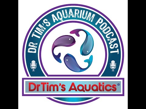 Talking with Aquatic Veterinarian Dr. Jessie Sande Timestamps:

00_00- Intro

00_42- Meet Dr. Sanders

3_31- Important factor in caring for a fish.

7_