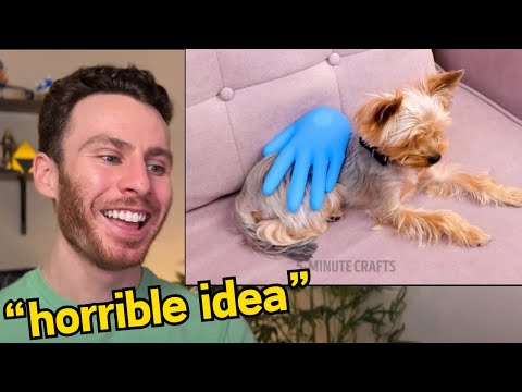 Dog Trainer Reacts To ABSURD 5-Minute Crafts Videos