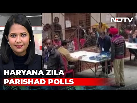 Most BJP-Backed Independents Won In Haryana Panchayat Polls, Claims Party