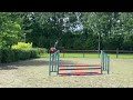 Show jumping horse 4 jarige Hotspot x Celano ruin