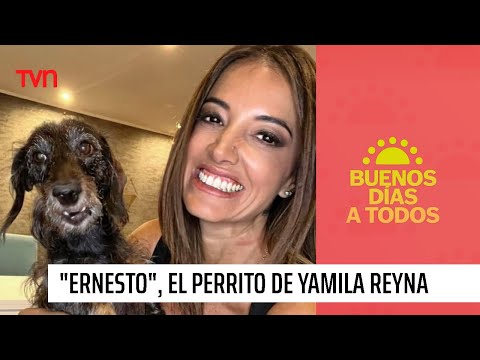 ¡Si lo queremos tanto! Conoce a Ernesto, el perrito de Yamila Reyna | Buenos días a todos