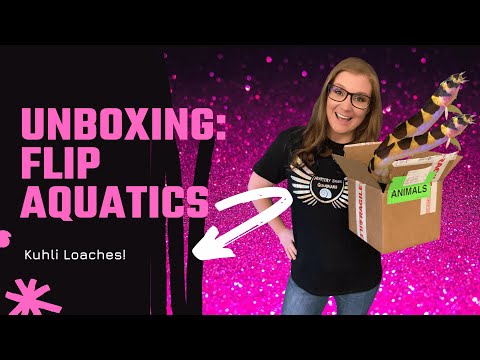 Unboxing: Flip Aquatics Kuhli Loaches! I ordered some new fish from Flip Aquatics for the second time! I finally got some of my favorite lo