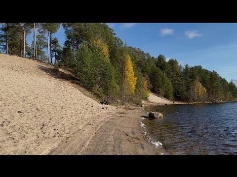 Що робила. Плани. 