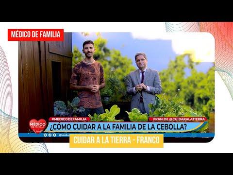Familia de la cebolla | Médico de Familia | Dr. Jorge Tartaglione | Cuidar a la tierra
