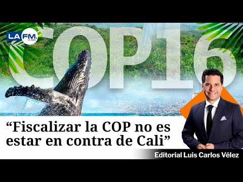 Fiscalizar la COP no es estar en contra de Cali, es estar pendiente para que se cumplan las promesas