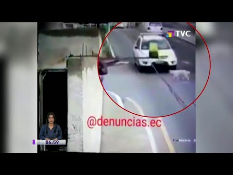 Video muestra cómo un patrullero atropella a un perro en Calderón