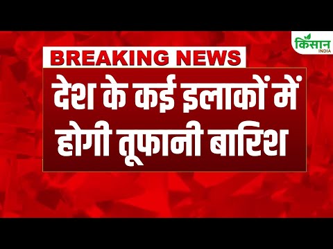 Weather Alert: अगले 24 घंटे में जमकर होगी तूफानी बारिश  । Monsoon 2025 |  IMD weather forecast