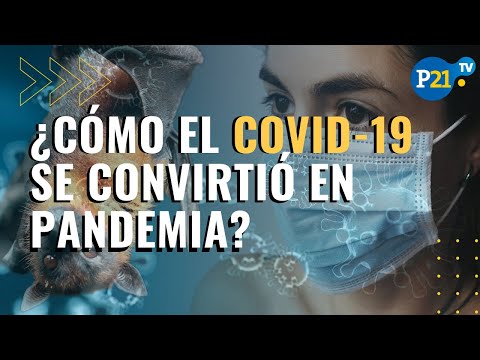 ¿Cómo el COVID-19 se convirtió en una pandemia global