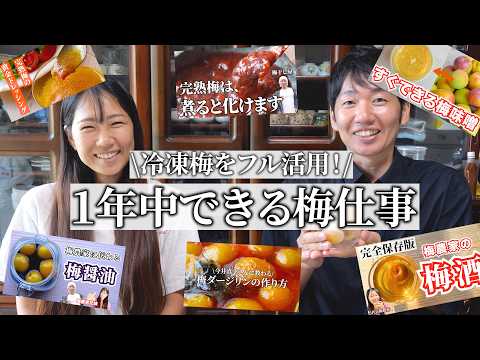 【冷凍梅で梅仕事】梅干し屋がおすすめする1年中できる梅仕事5選