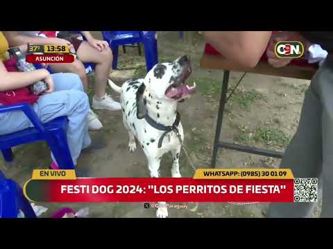 Festi Dog 2024: Los perritos de fiesta