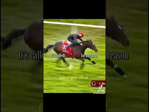 It’s called horsepower for a reason