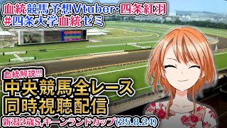 【競馬同時視聴配信】新潟2歳S,キーンランドC 2025 中央競馬ライブ  四条大学血統ゼミ