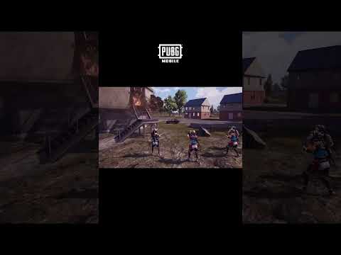 🐶#犬派 VS #猫派、あなたはどっち派🐱？