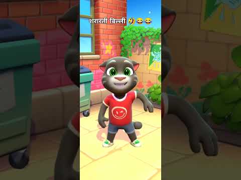 noty cat funny #funny_video #funny #shorts