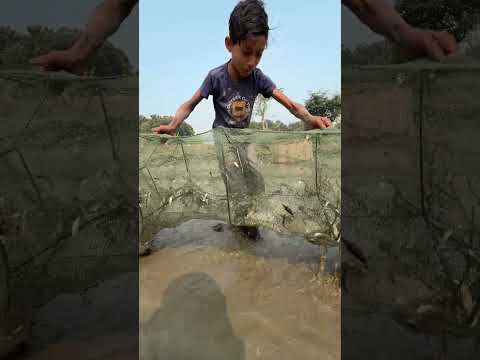 Village boy traditional fishing #netfishing #fishing #shorts