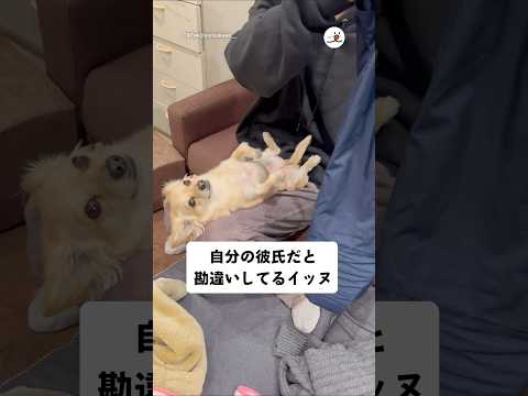 女の顔してる｜PECO